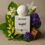 Doftkonst - No 697 Tilia 50ml Kadın Eau de Parfum PARFÜM ₺2.000,00 ₺2.000,00 ₺2.000,00 ₺2.000,00